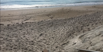 ICLB - Beach
